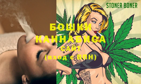 спиды Богданович