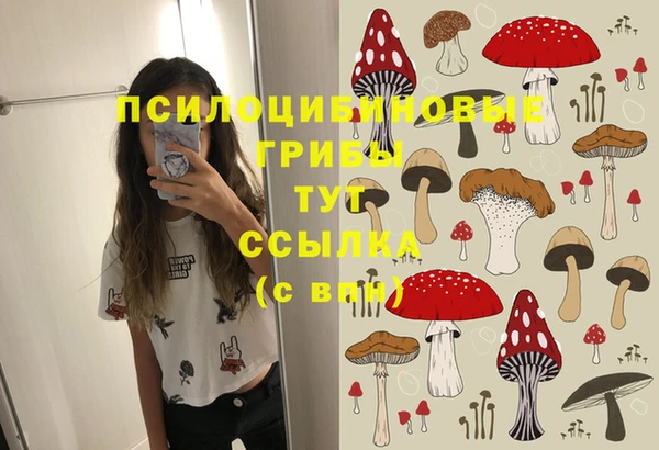 гашиш Бородино